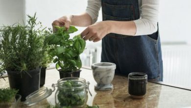 10 گیاه خوراکی که به راحتی در خانه شما رشد می کند!