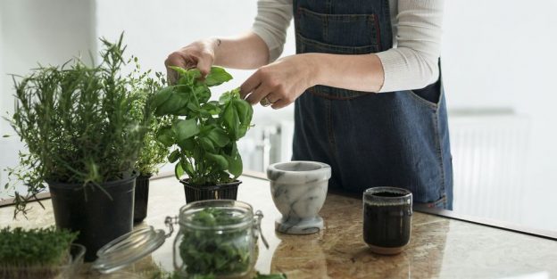 10 گیاه خوراکی که به راحتی در خانه شما رشد می کند!